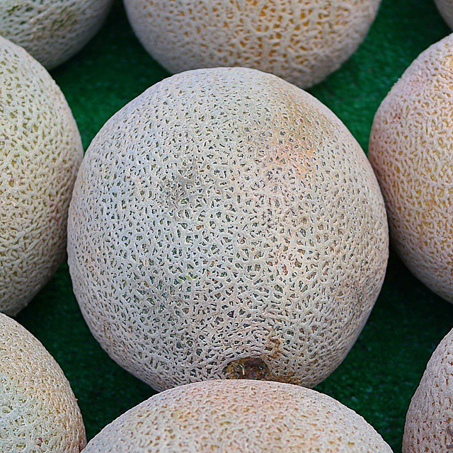 Cantaloupe (also cantelope,cantaloup, muskmelon (India and… Flickr
