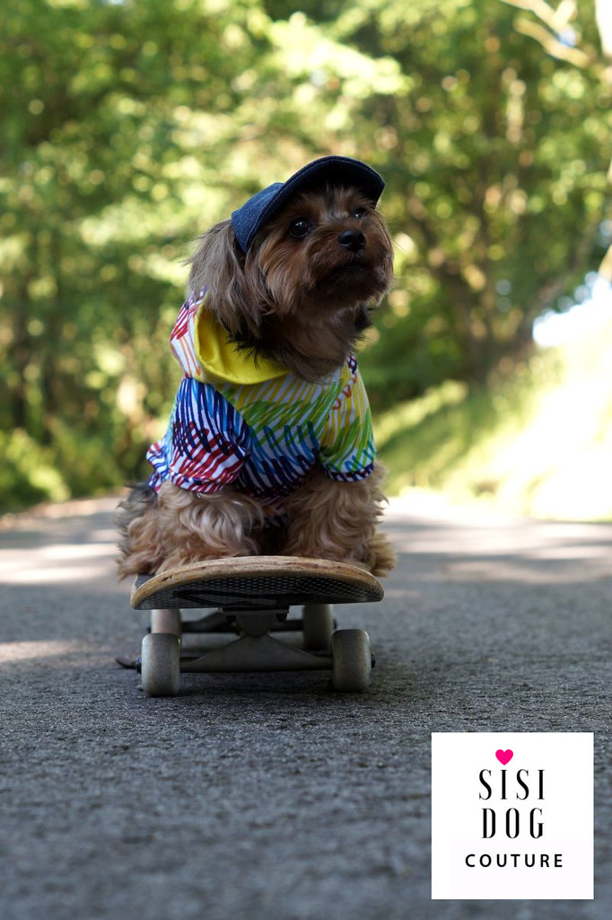 l,sisi dog couture, dog clothes pet clothing, pet supplies… Flickr