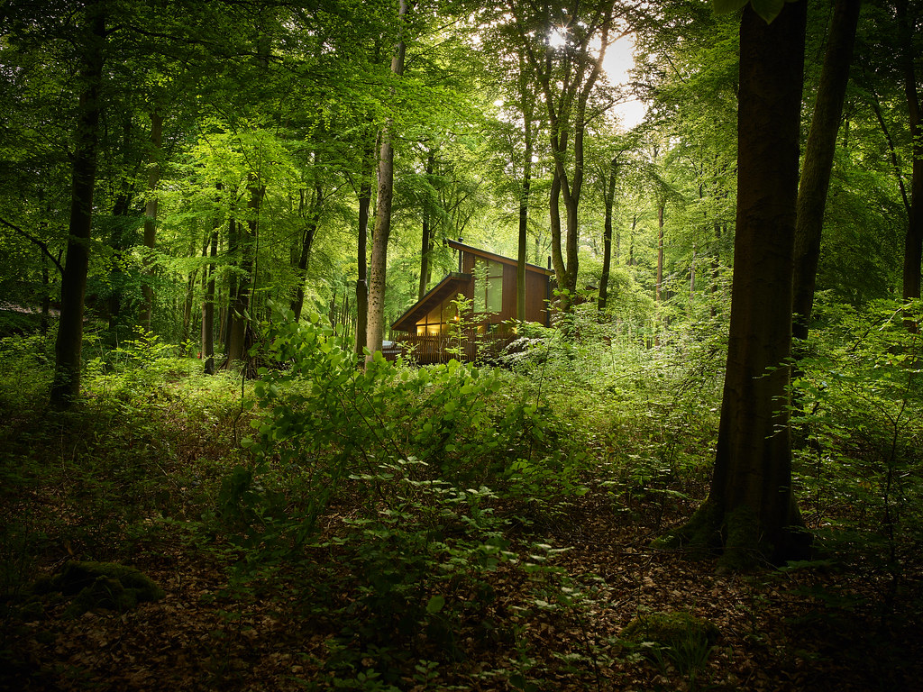 Forest Holidays, Blackwood Forest, Hampshire Forest Holidays Flickr