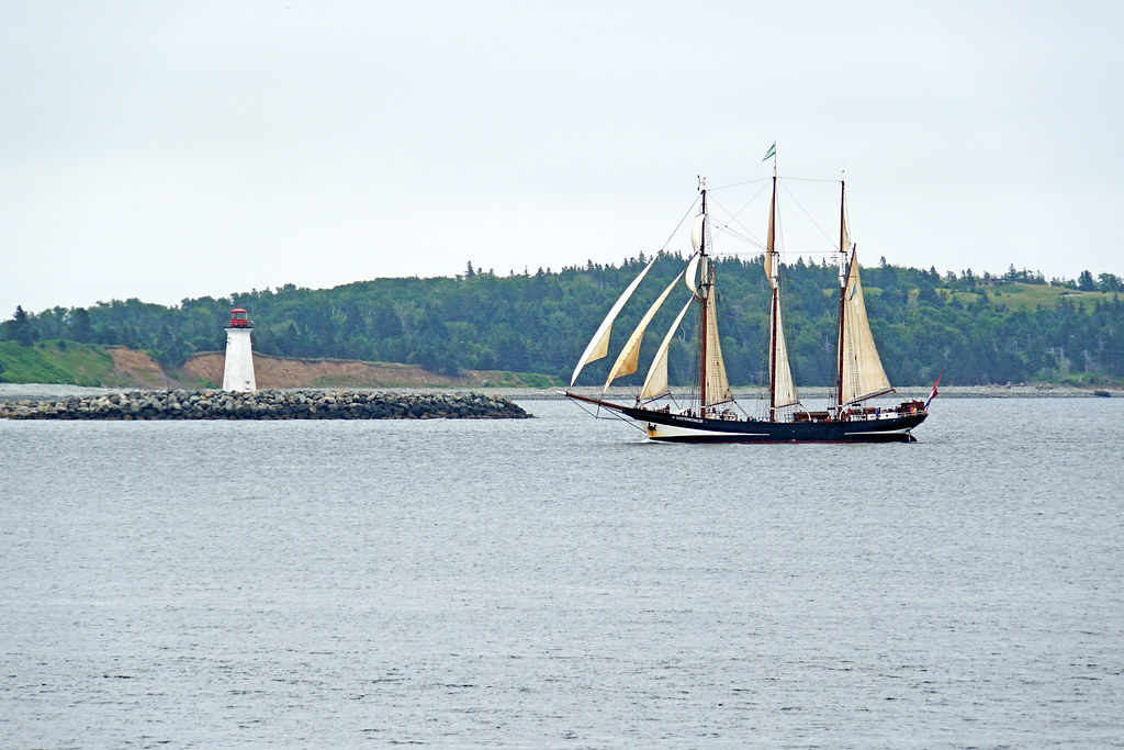 Dartmouth Water Temperature Forecasts & current water temp