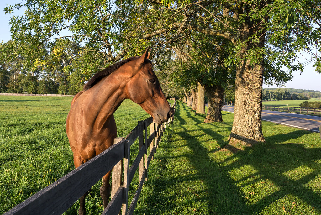 Maryland Horse Farms Drove through north central Maryland … Flickr