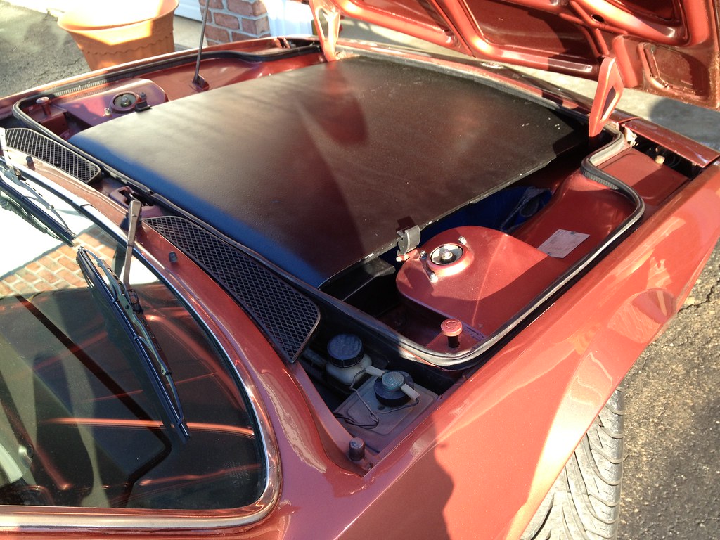 IMG_0444 Cyrus EtemadMoghadam Flickr