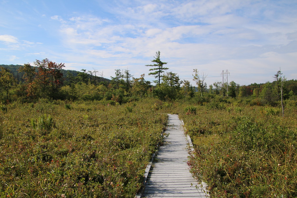 Visit to Cranesville Swamp Preserve (West Virginia & Maryl… Flickr