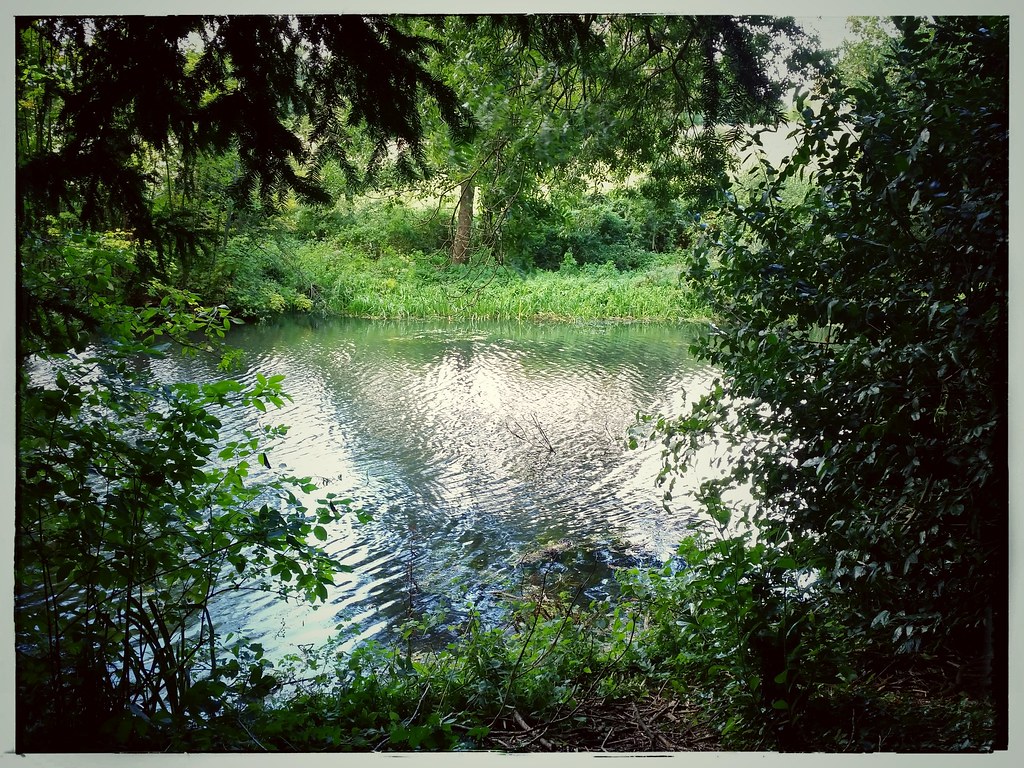 Down by the lake ! A woodland lakenin Adderbury, Oxfordshi… Chris