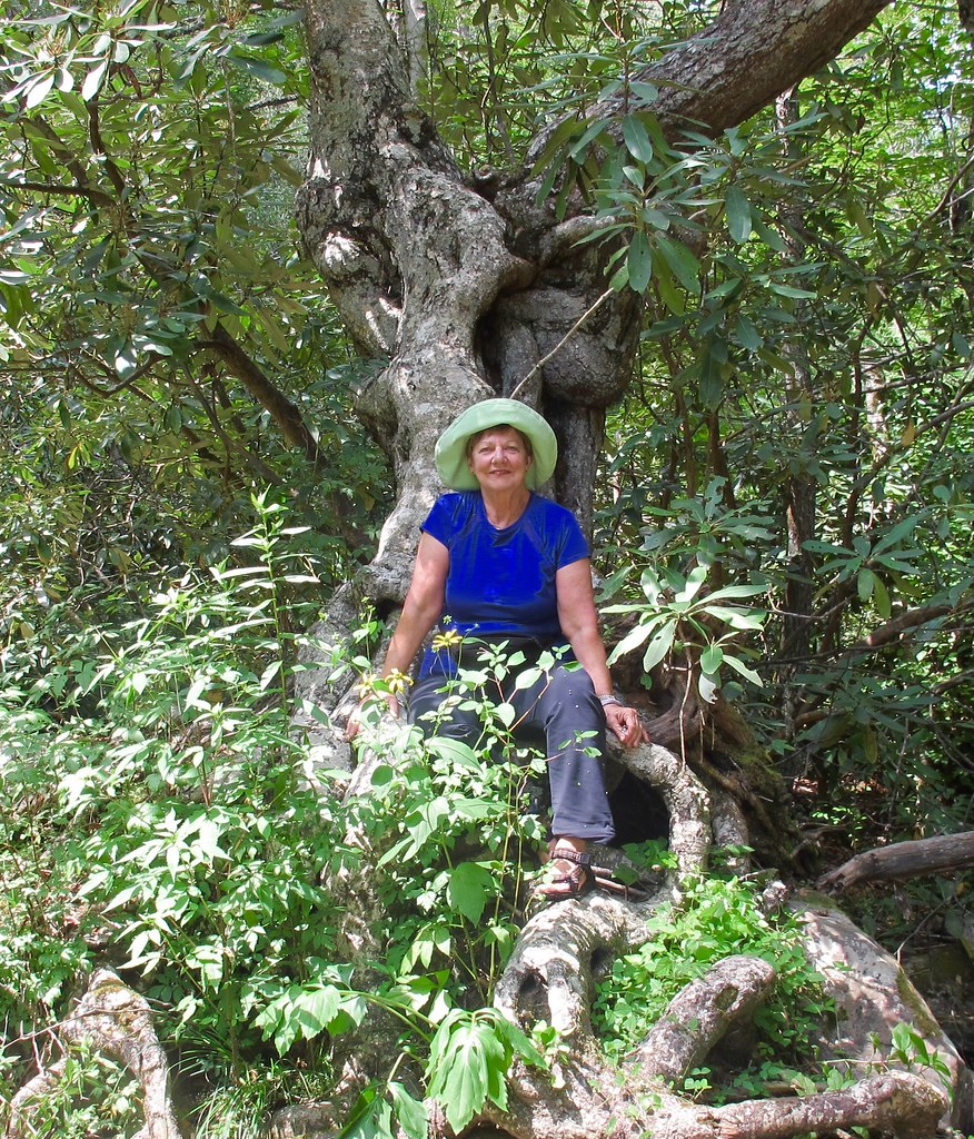 forest bathing Beth Scupham Flickr