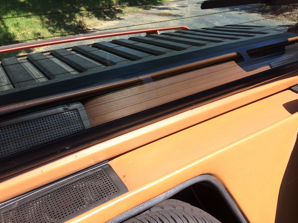 IMG_6586 Cyrus EtemadMoghadam Flickr