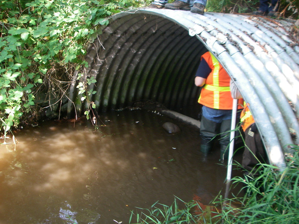 Gribble Creek fish passage In summer 2018 WSDOT will repla… Flickr