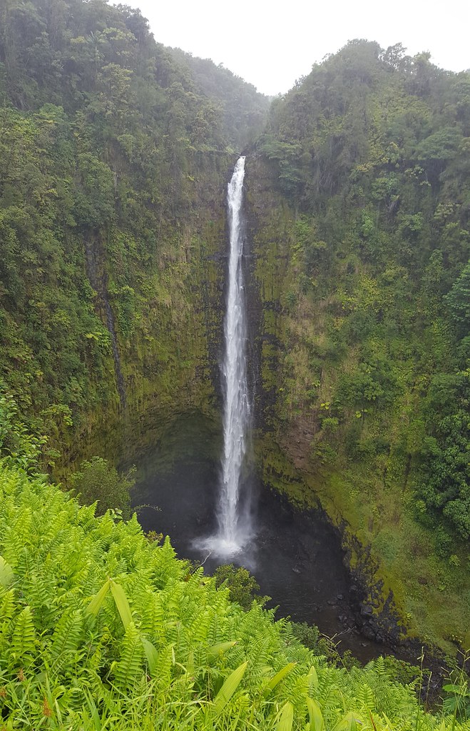 Elevation of 28 Honomu Ln, Pepeekeo, HI, USA Topographic Map