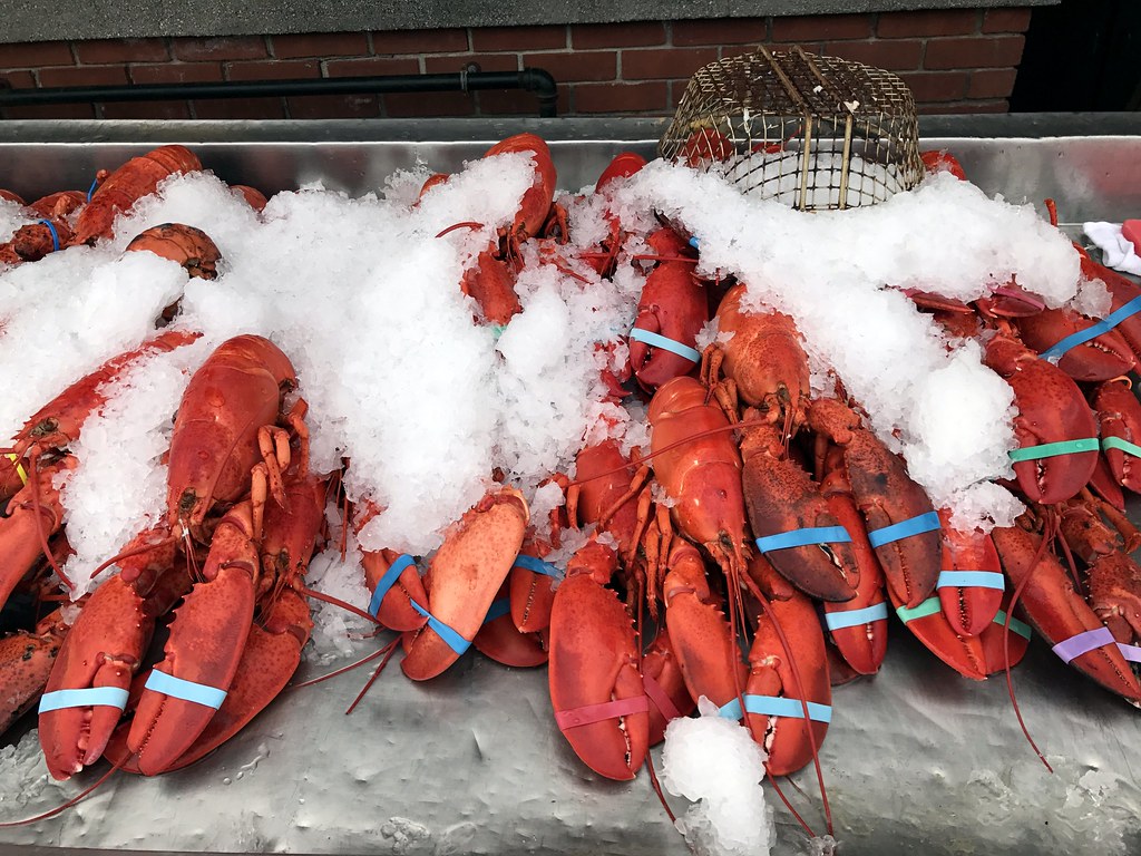 Lobsters at Woodman's of Essex Bex Walton Flickr