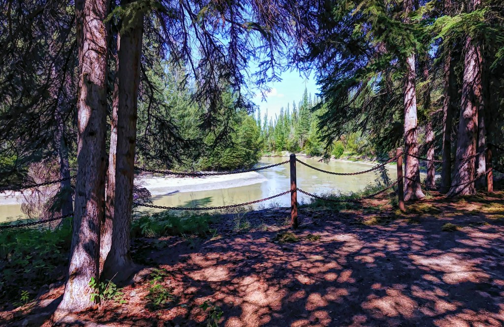 Tok River Alaska This beautiful spot along the Tok River… Flickr