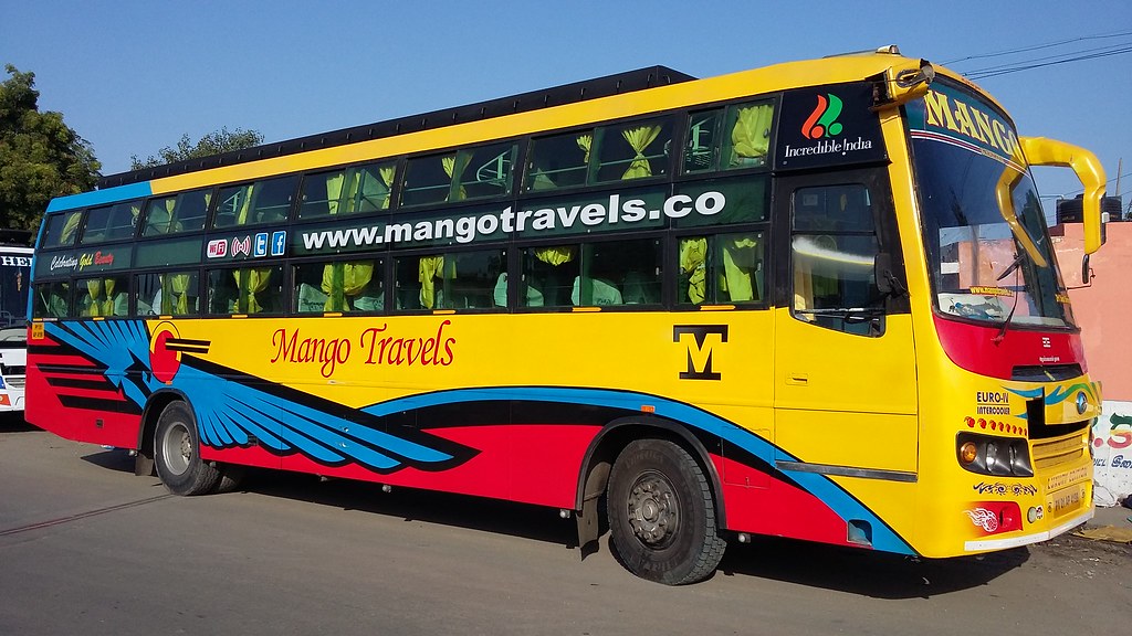 Mango Travels The Cover Letter For Teacher