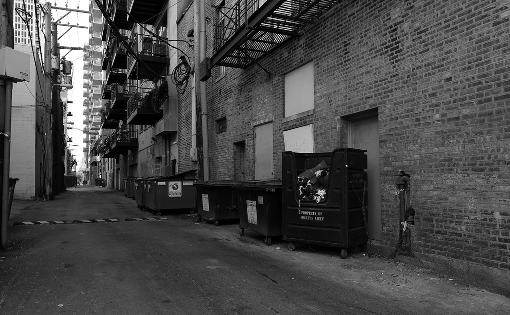 South Loop Alley Downtown Chicago 24 Sept 2017 5D IV… Flickr