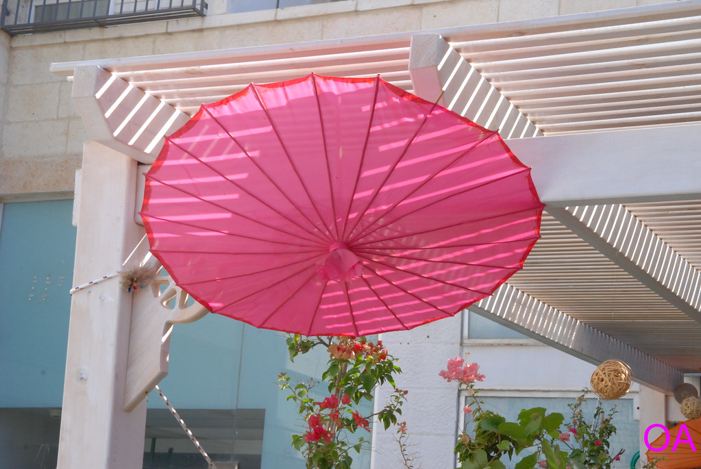 DSC_0911 flower shop JERUSALEM ISRAEL AUG 2017 ofer amit Flickr