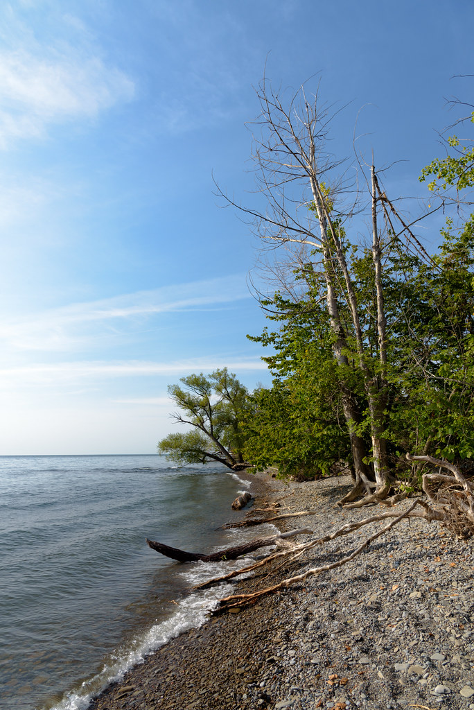 Lake Ontario Shoreline Taken in the Rattray Marsh, Mississ… Flickr