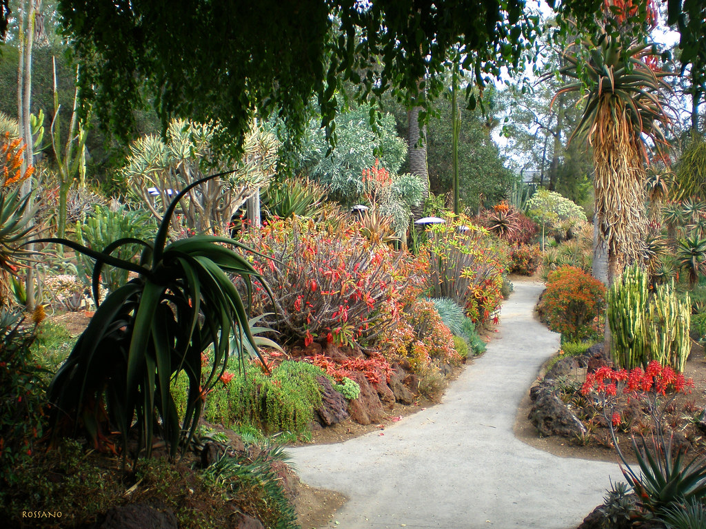 Colorful Byway Huntington Library & (Desert) Gardens, San … Flickr