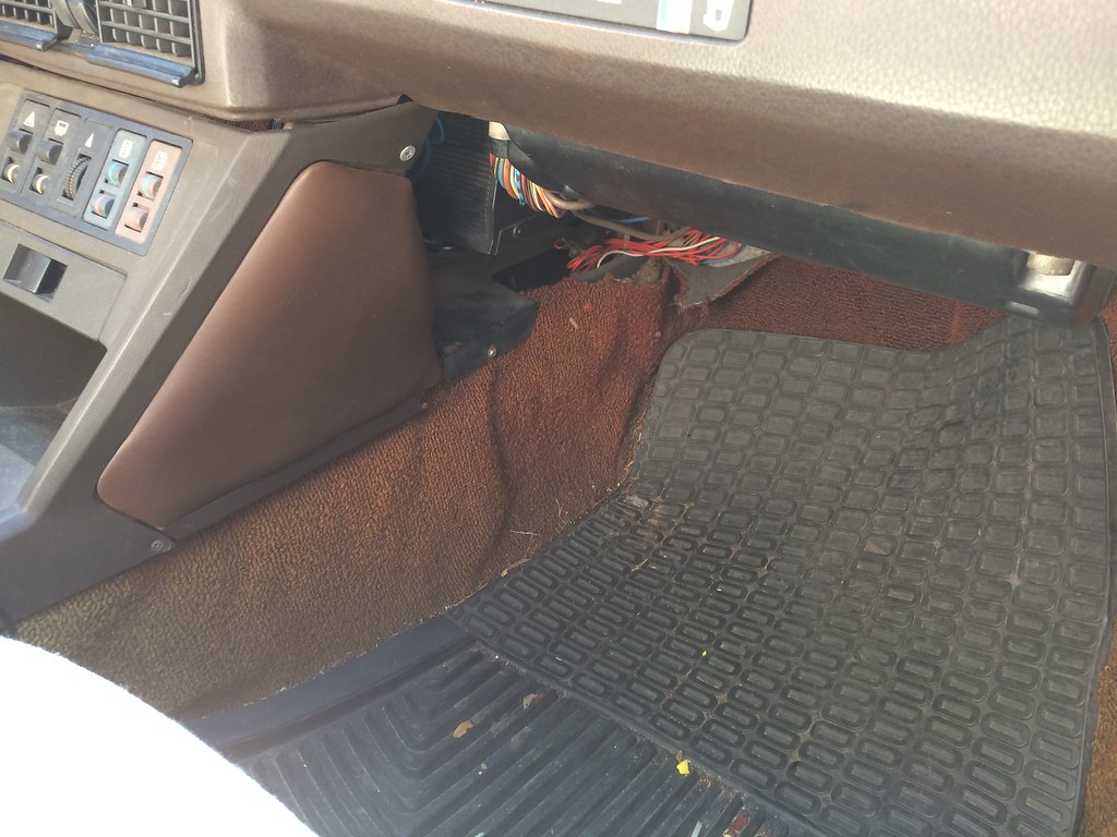 IMG_6587 Cyrus EtemadMoghadam Flickr