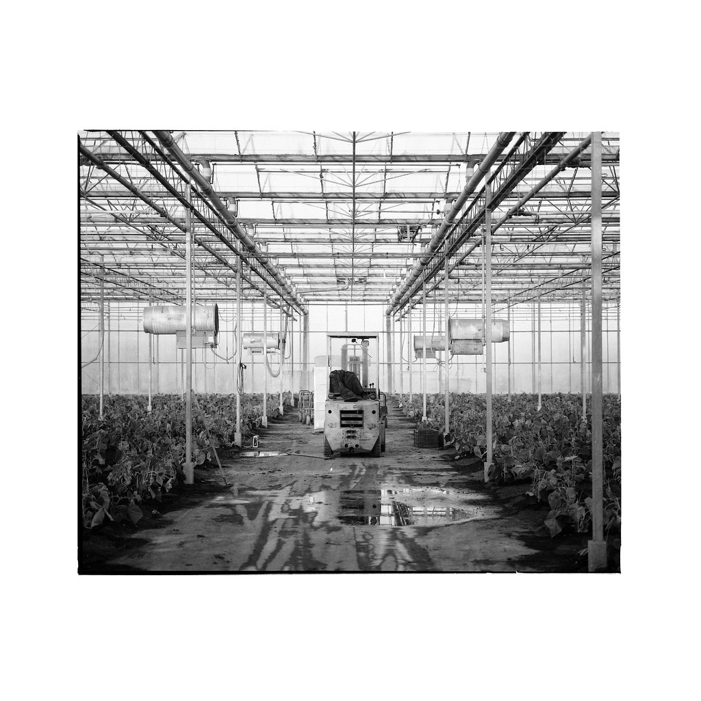 house of glass 6/6 Michael Reiner Flickr