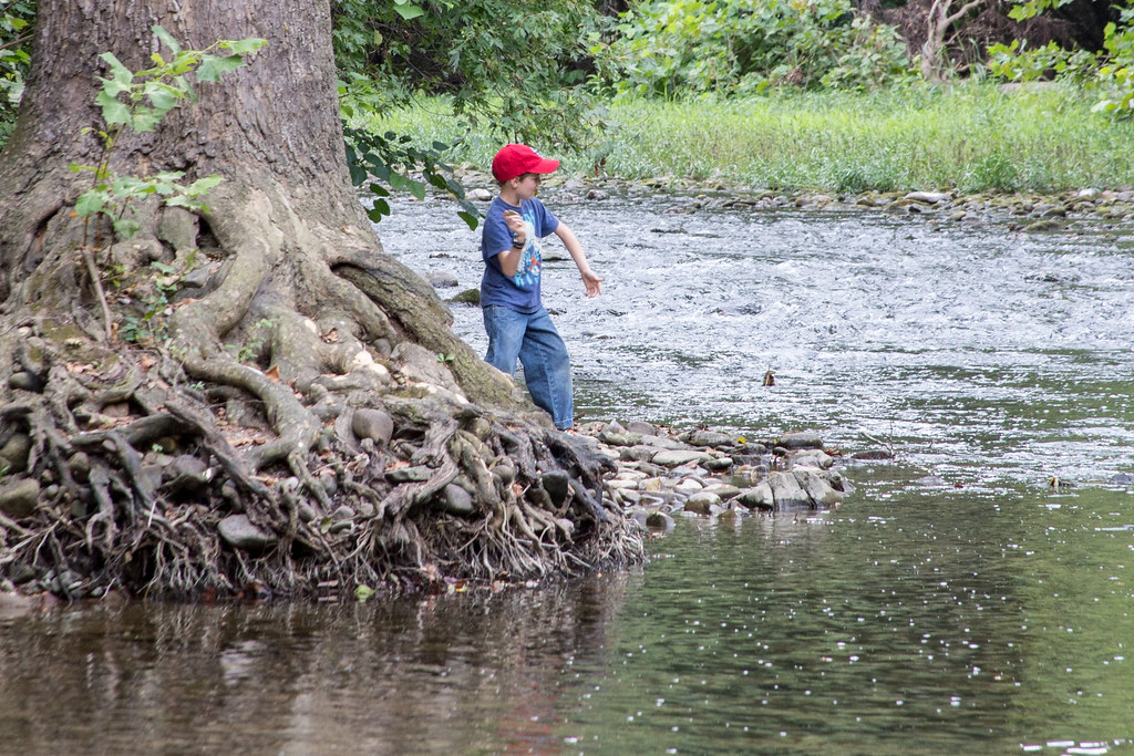 Hope Fields 2017 (46 of 62).jpg Sharen Montgomery Flickr