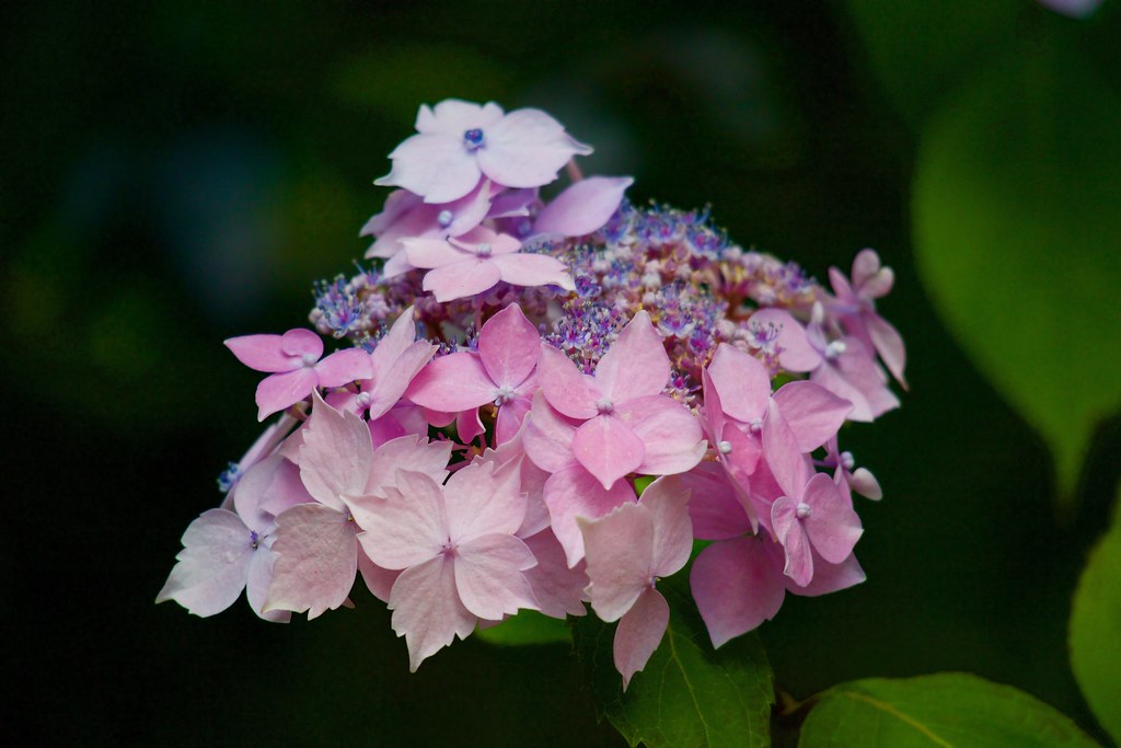 BrockholeWindermere Gemma Hampton Flickr