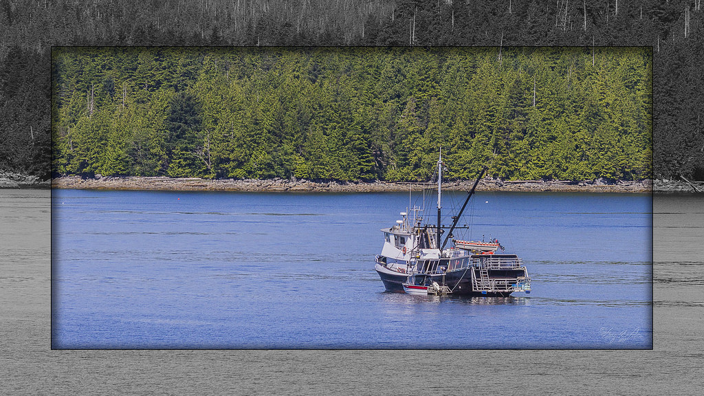 Fishing in Prince Rupert Fishing boat on Hecate Strait in … Flickr