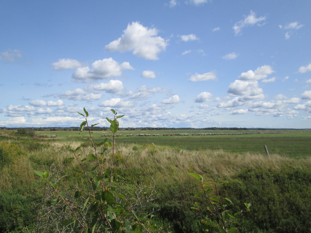 Middle Sackville, NB August 26, 2017 Larry Flickr