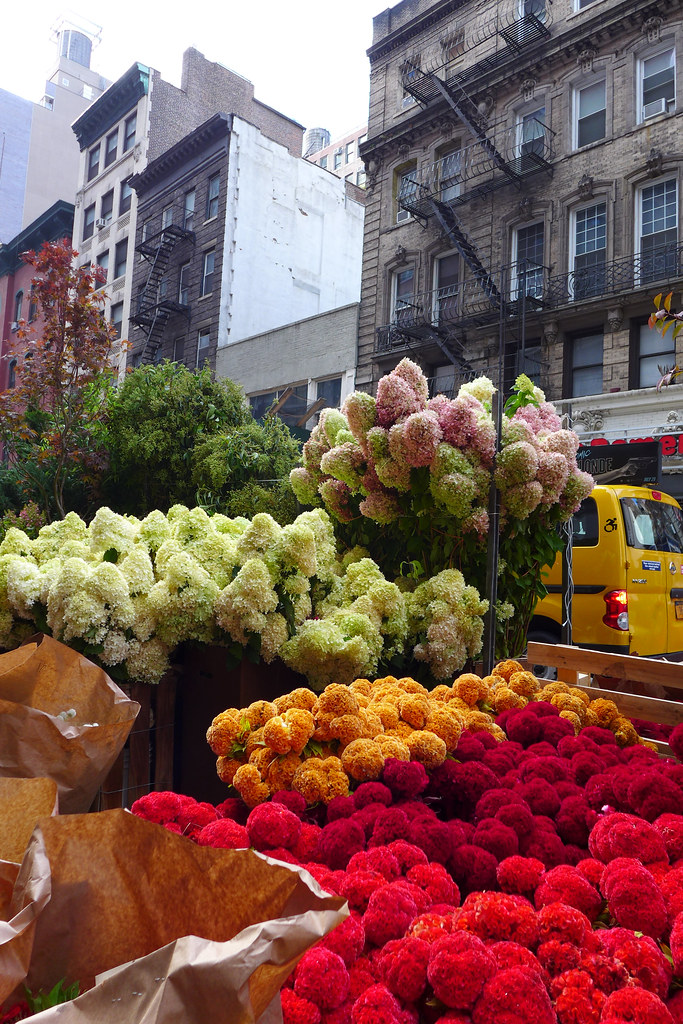 Flower market! Domitille Parent Flickr