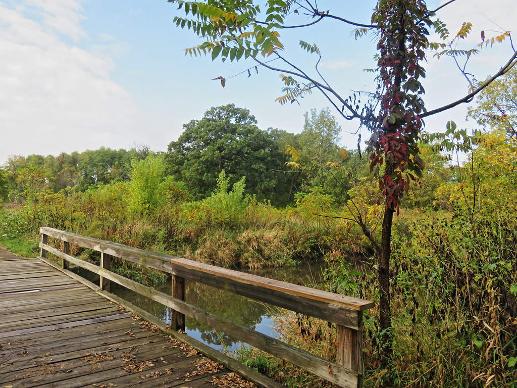 Blackberry Creek 0120170919 This morning's walk at Bliss … Flickr