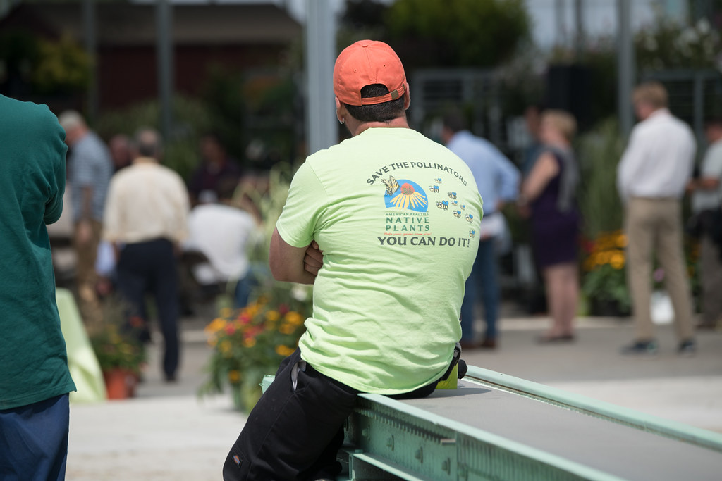 20170831OSECLSC1132 Prides Corner Nursery staff observe… Flickr