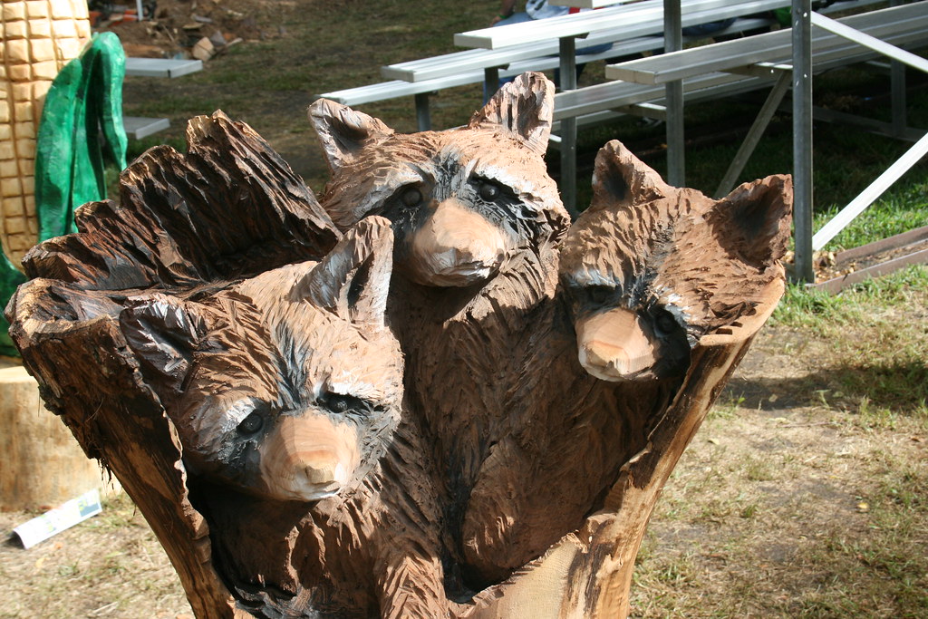IowaState Fair Raccoons. wood Carving. Iowa state Fair 7 P… Flickr