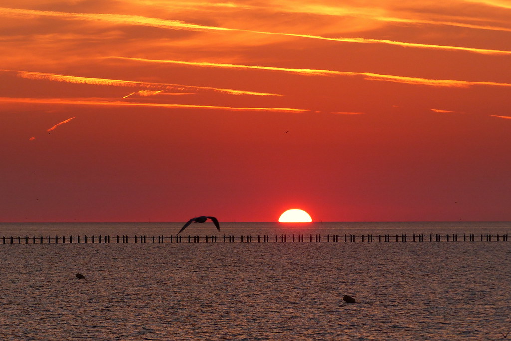 Sunrise from Shoebury East Beach Shoeburyness East Beach Flickr