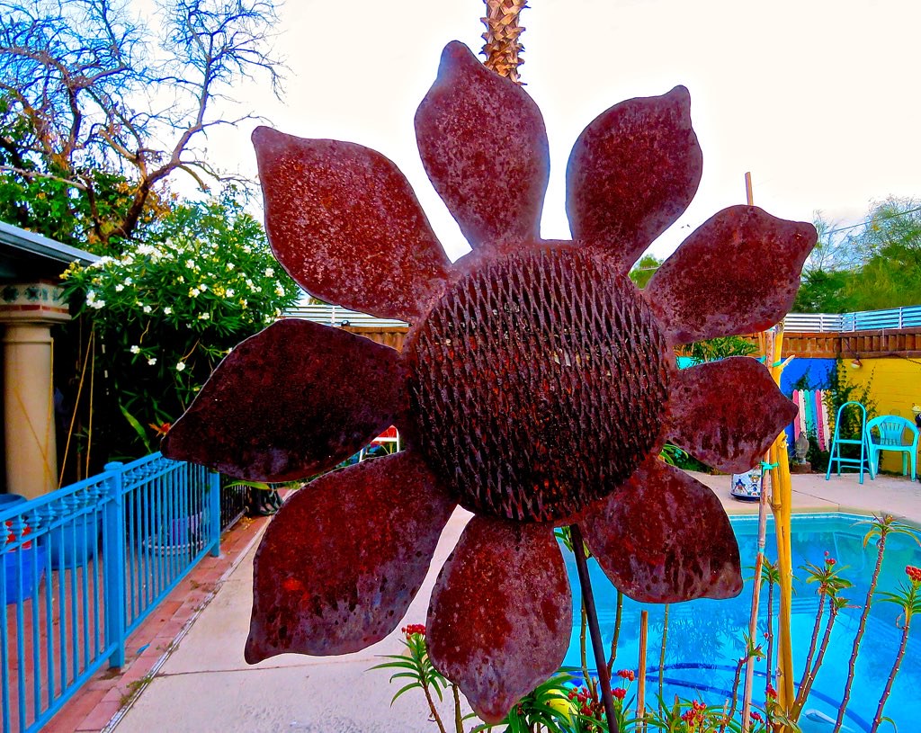 Rusting Garden Sunflower Ornament This is a metal sunflowe… Flickr