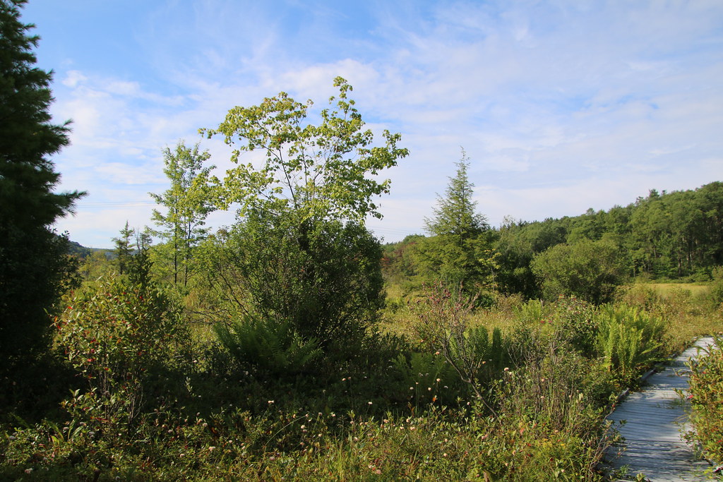 Visit to Cranesville Swamp Preserve (West Virginia & Maryl… Flickr