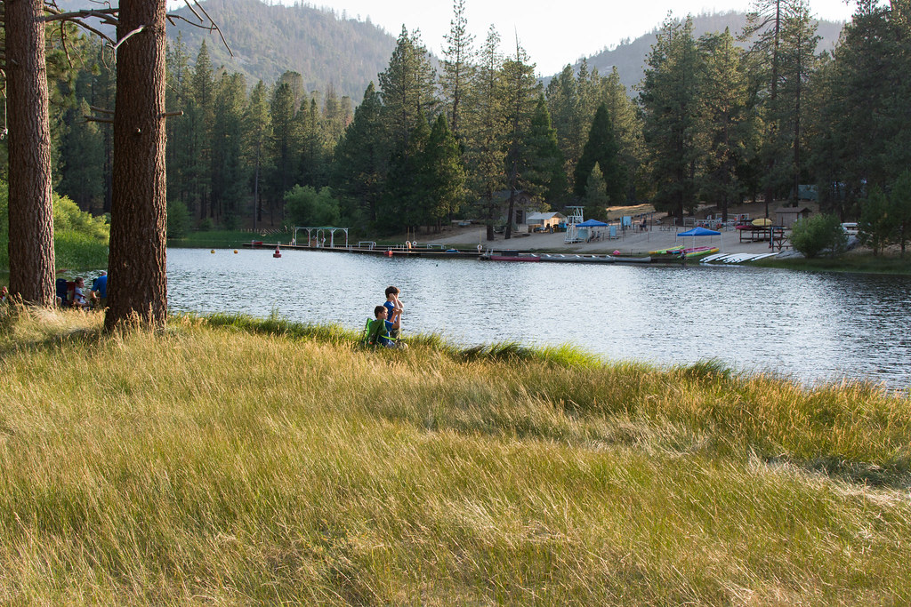 Camp Whitsett 2017 Flickr