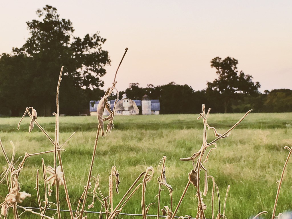 Grand Coteau, Louisiana Flickr