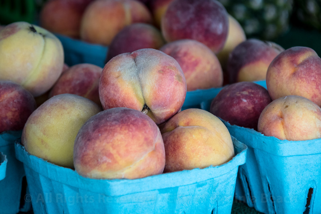 Farmers Market The Virginia Beach Farmers Market is open y… Flickr