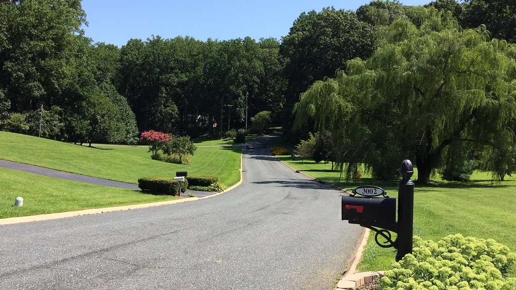 IMG_6632 Cyrus EtemadMoghadam Flickr