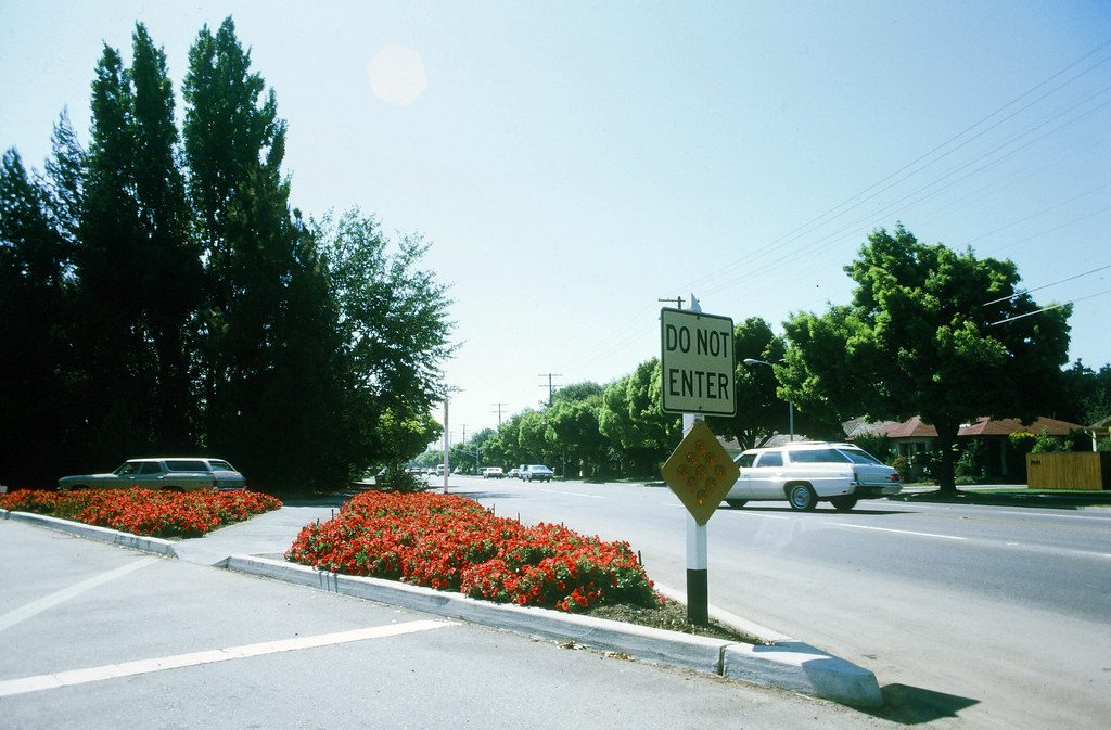 Embarcadero Road flowers, Palo Alto Menlo Park Planning Flickr