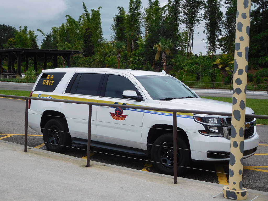 Disney Security K9 Unit ,Florida Disney Security K9 Unit ,… Flickr