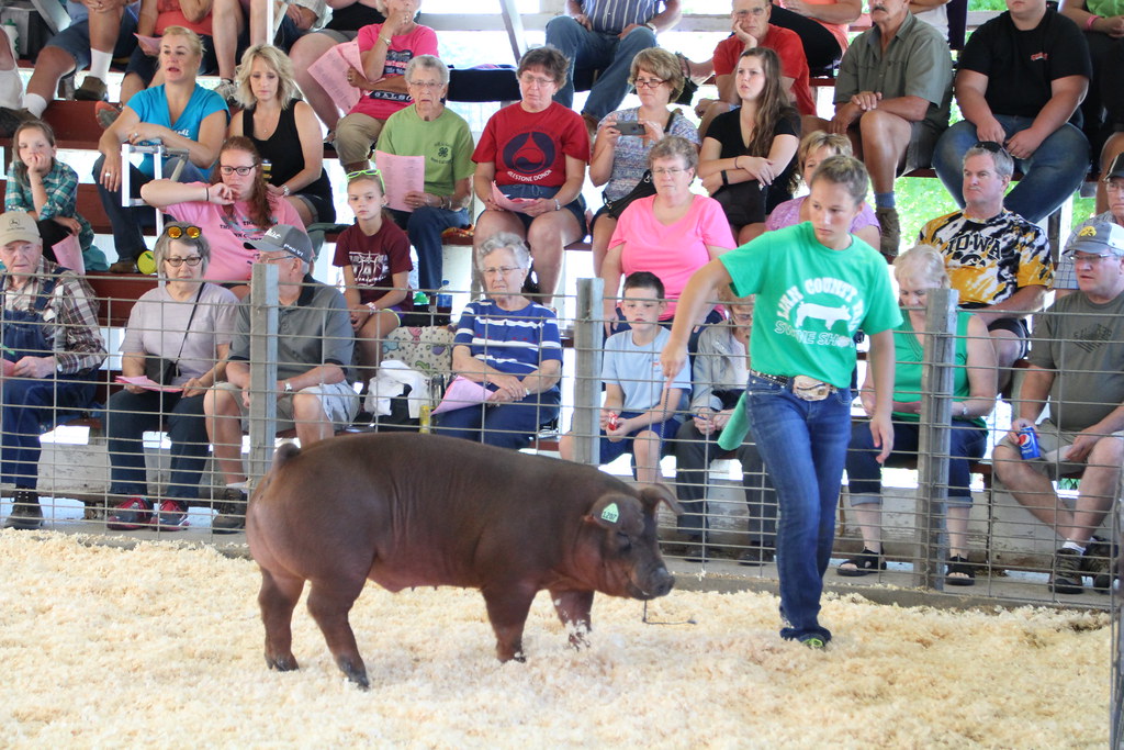 IMG_1001 Photos courtesy of Todd Hunt & Rae Ann Holub of T… Flickr