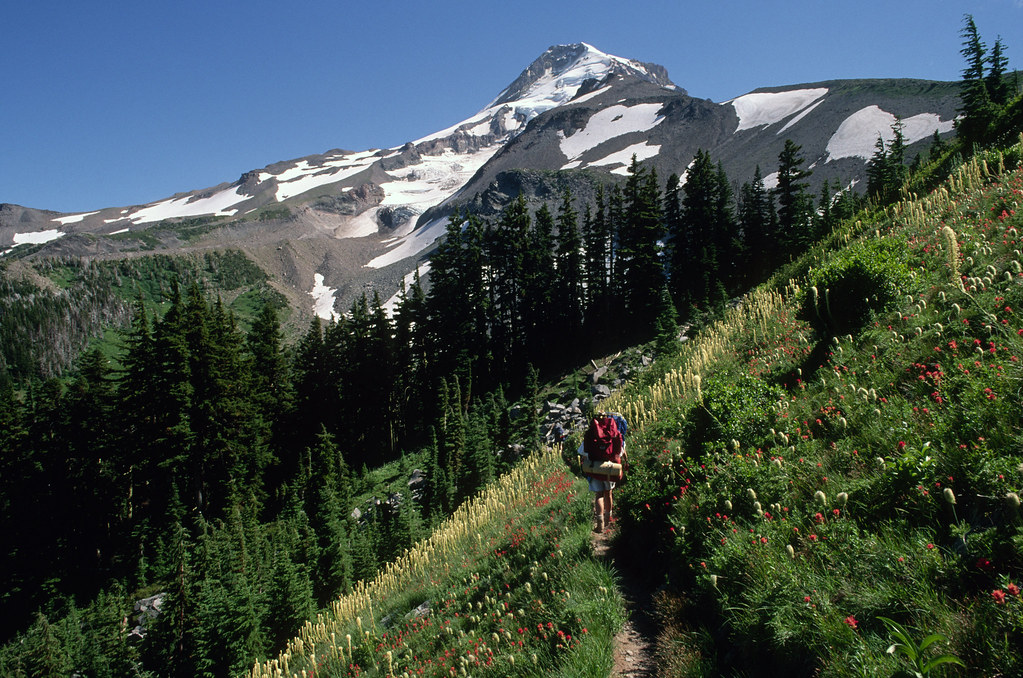 Backpacking near Elk Cove on Timberline Trail, Mt Hood Nat… Flickr