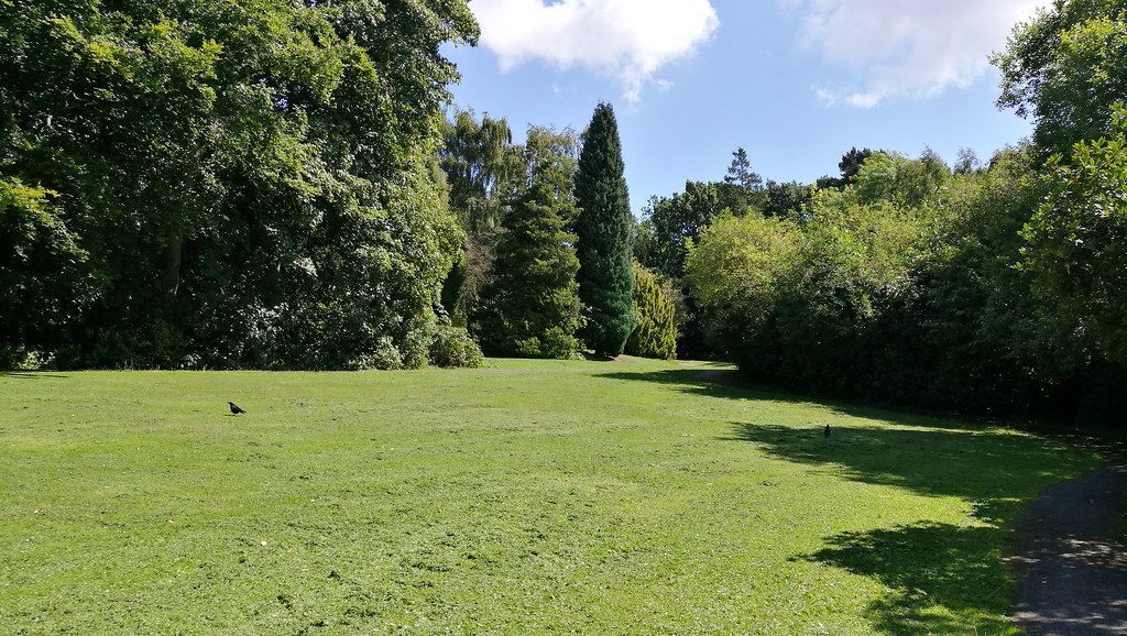 Highbury Park Another walk through Highbury Park near King… Flickr