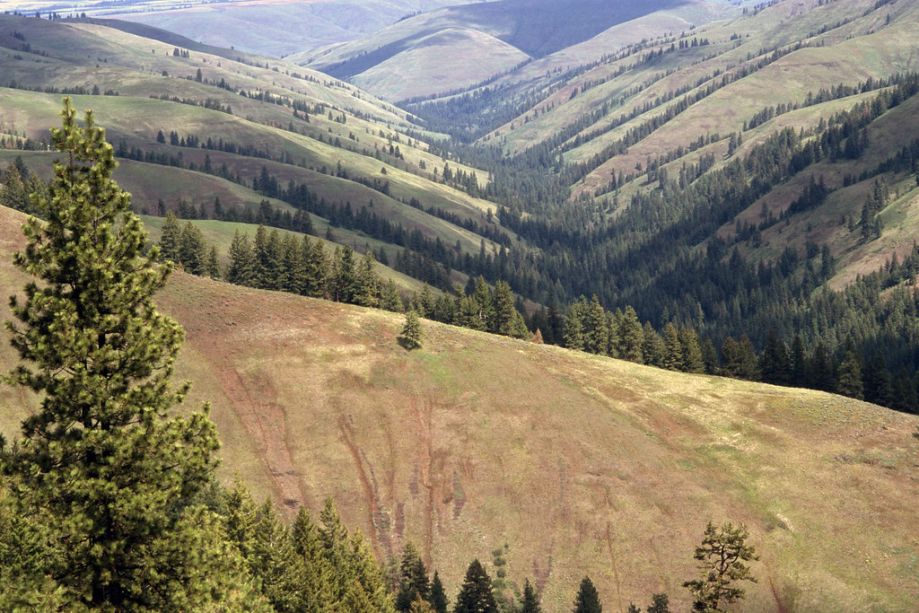 Umatilla National Forest, Umatilla Breaks.jpg U.S. Forest Service