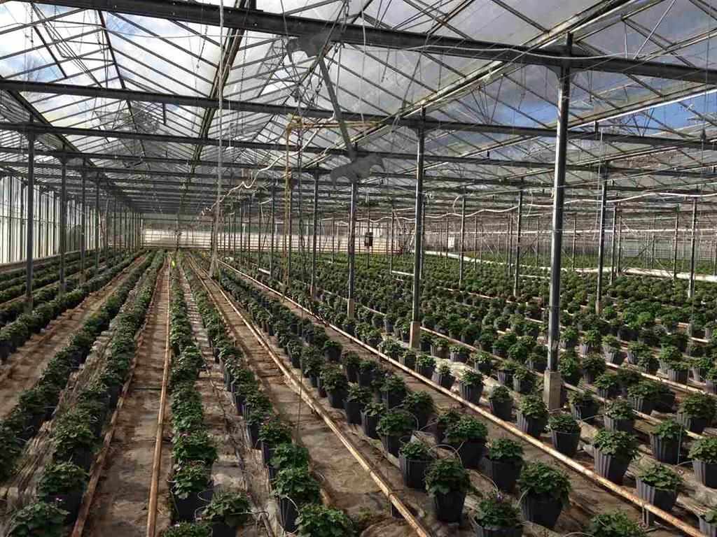 LANGLEY FARMS FOR SALE Want to buy farms or Acreage in Lan… Flickr