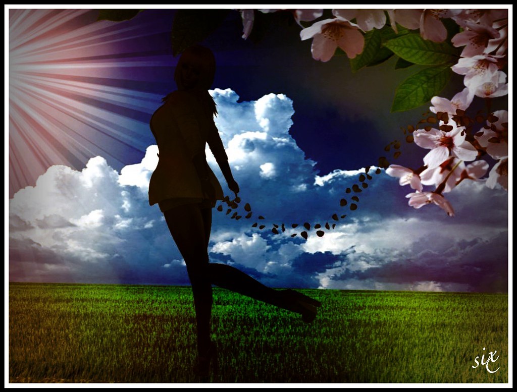 Petals in The Wind Six Cerna Flickr