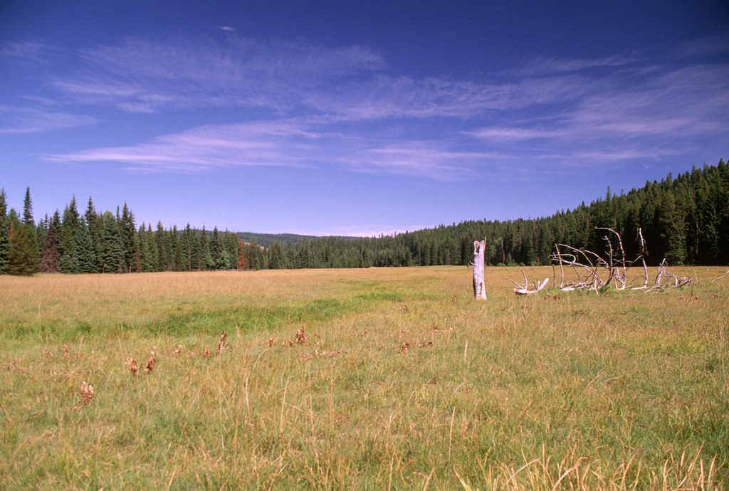 Desolation Meadows, Umatilla National Forest.jpg U.S. Forest Service