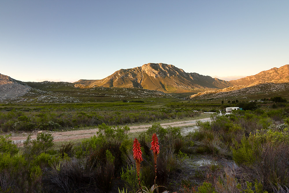 Kogelberg Nature Reserve shortly before sunset South Afri
