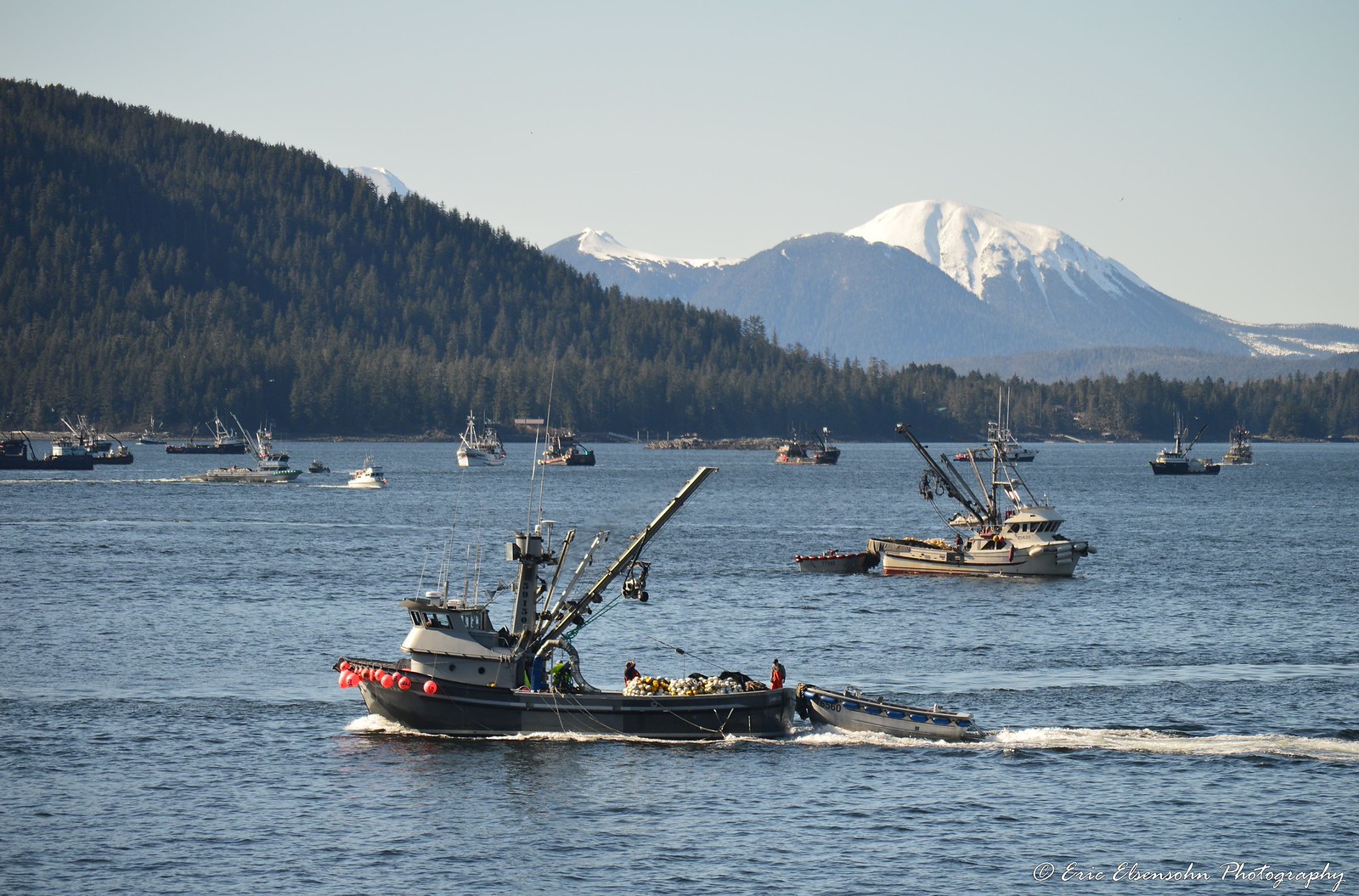 Sitka Herring Sac Roe Fishery Flickr
