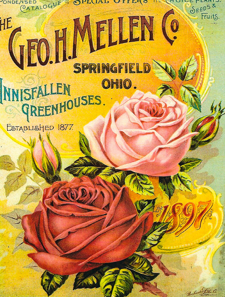 Vintage PosterFlower Flickr