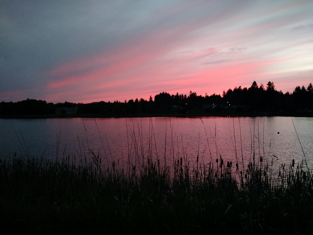 Vernonia Lake Sunset Ferrous Büller Flickr