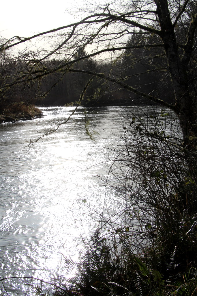 Shiny River The Humptulips, a polished river. Mïk Flickr